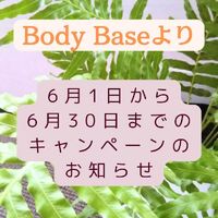 画像261