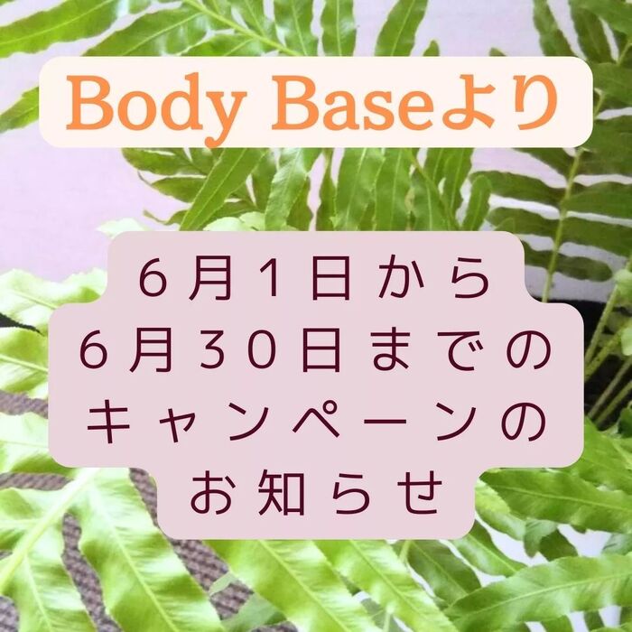 画像261